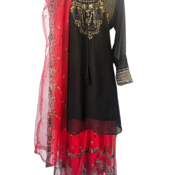 Luxury Net Embroidered 3-Piece Sharara Set with Handwork – RED and Black
